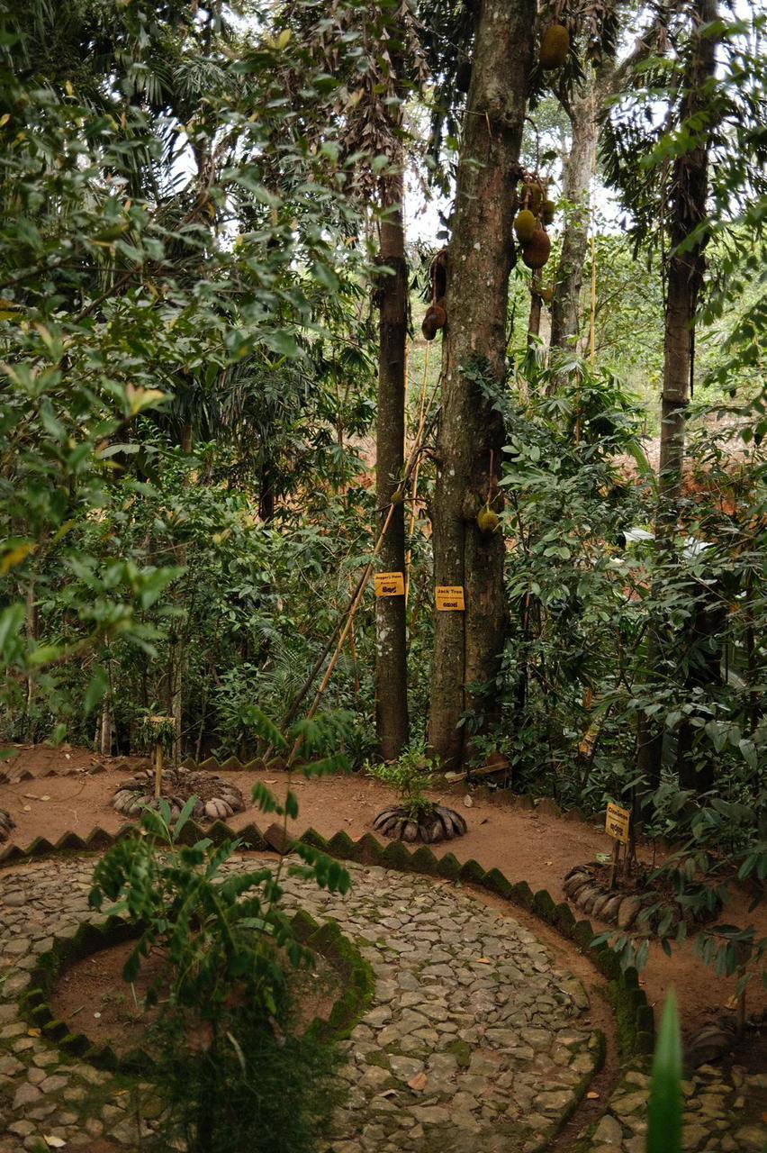 WhatsApp Image 2024-12-16 at 12.54.23 PM